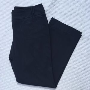 The Limited Sz 10s Cassidy Fit Navy Pants